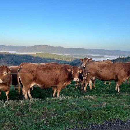 Gite De Montagne -Bellefosse Alsace ภายนอก รูปภาพ