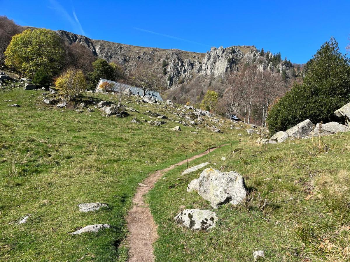 Gite De Montagne -Bellefosse Alsace ภายนอก รูปภาพ