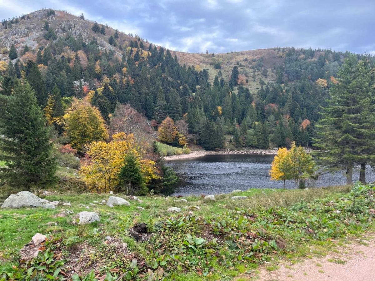 Gite De Montagne -Bellefosse Alsace ภายนอก รูปภาพ