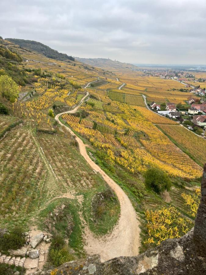 Gite De Montagne -Bellefosse Alsace ภายนอก รูปภาพ