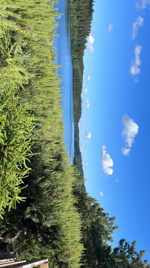 Gite De Montagne -Bellefosse Alsace ภายนอก รูปภาพ