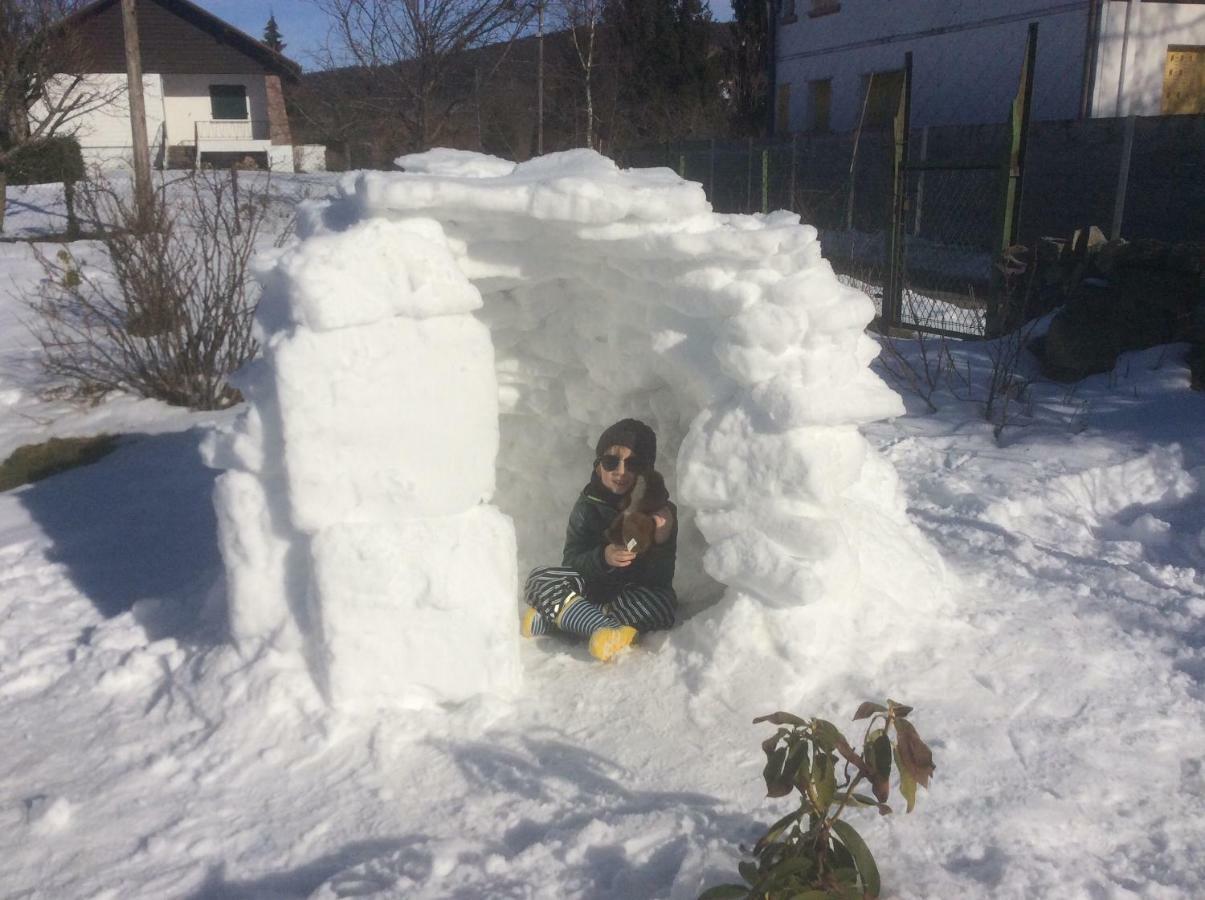 Gite De Montagne -Bellefosse Alsace ภายนอก รูปภาพ
