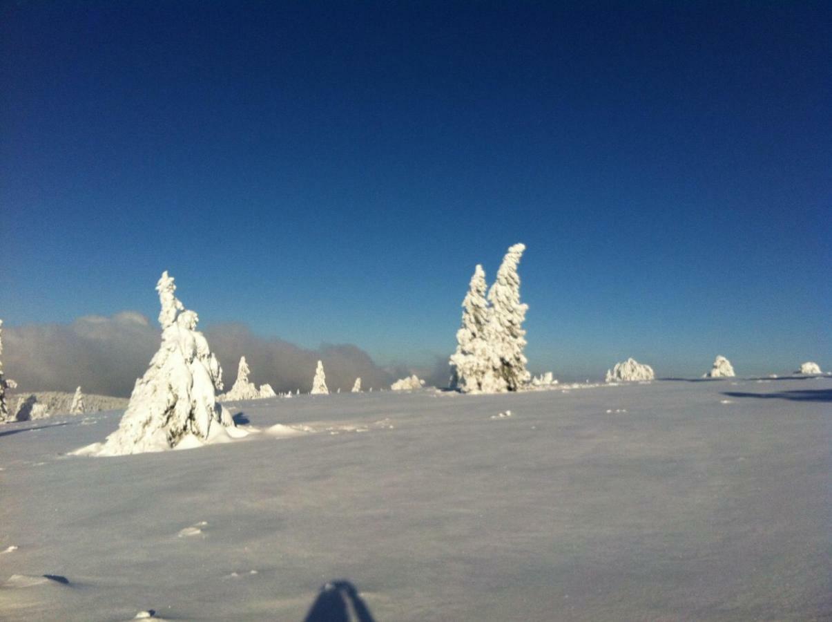 Gite De Montagne -Bellefosse Alsace ภายนอก รูปภาพ